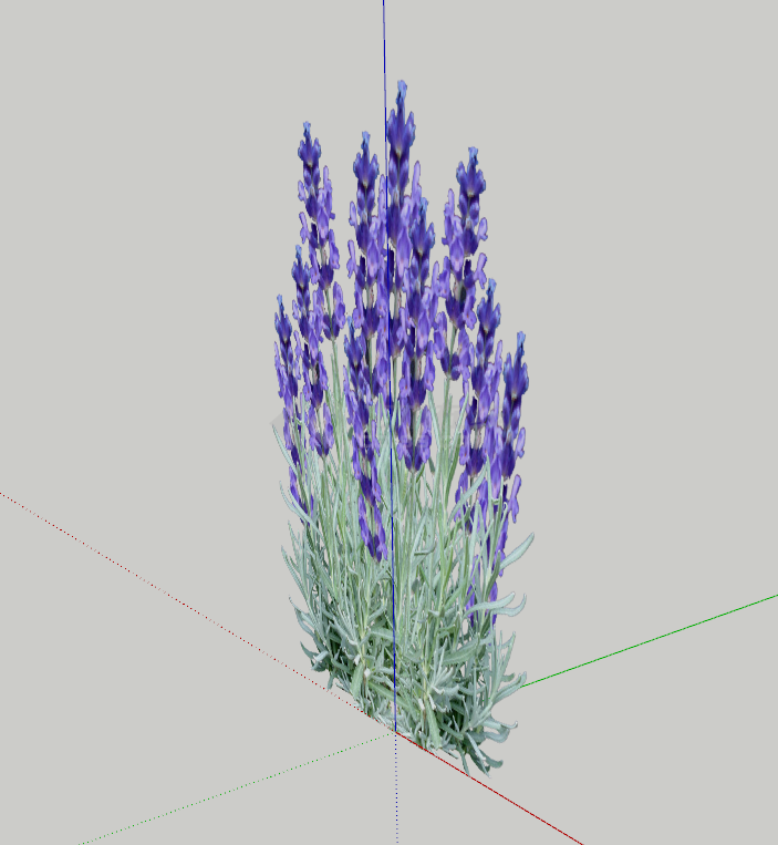 清香贴切的紫色花丛su模型-图一