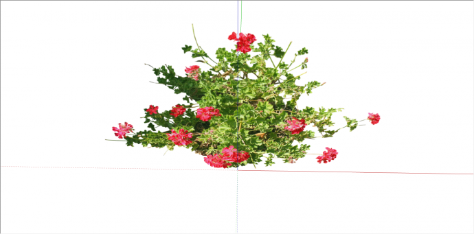 可养殖红色花卉植物su模型_图1