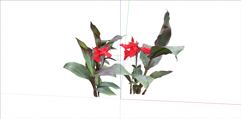 现代两株红色花植物su模型-图一