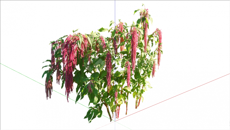 开有红色小花的茂密植物su模型-图二
