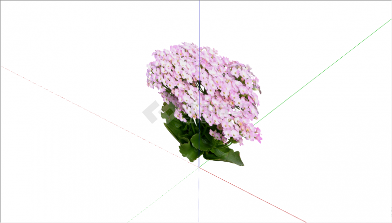 开有紫色小花的茂密植物su模型-图一