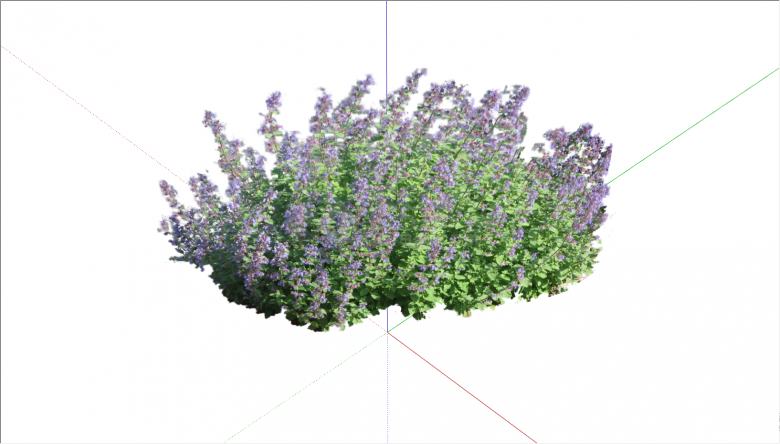 带有紫色小花的茂密植物su模型-图一