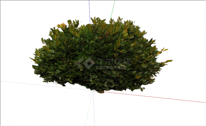 现代深绿灌木景观植物su模型-图二