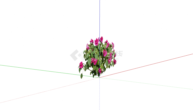 粉红色花卉单簇灌木su模型-图二