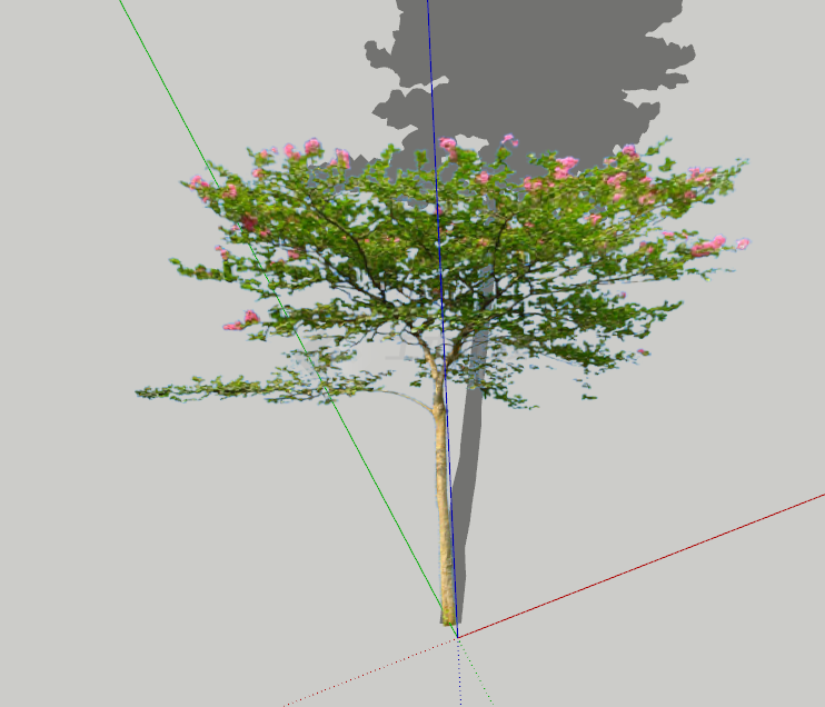 一颗开满鲜花的树木su模型-图二