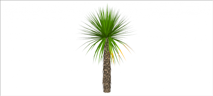 美艳碧绿棕榈热带树木su模型_图1