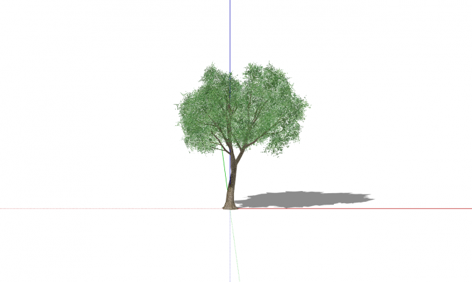 浅绿色高大单颗乔木su模型_图1