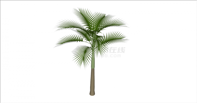 绿色植物独立棕榈热带树su模型-图二