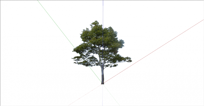 环保新颖的大型乔木su模型_图1