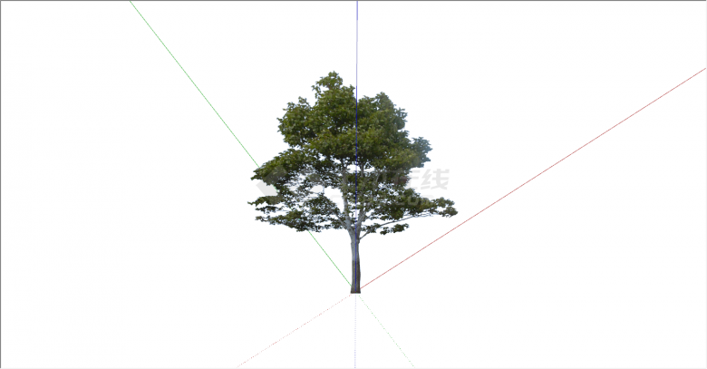 环保新颖的大型乔木su模型-图一