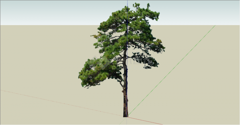 独特视野的松树乔木su模型-图一