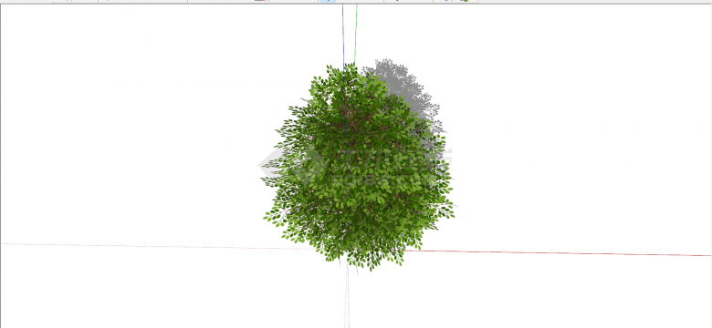 二球悬铃木绿色乔木su模型-图二