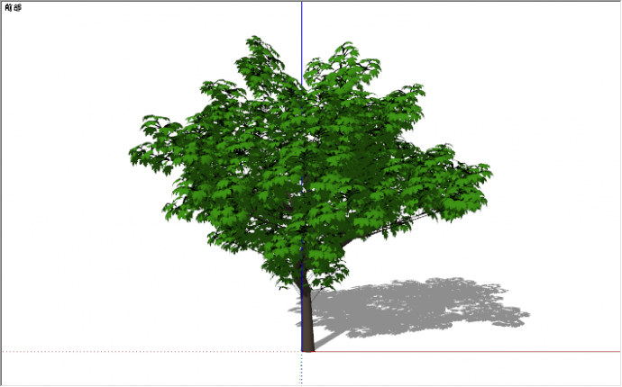 现代夏天户外常绿树木su模型_图1
