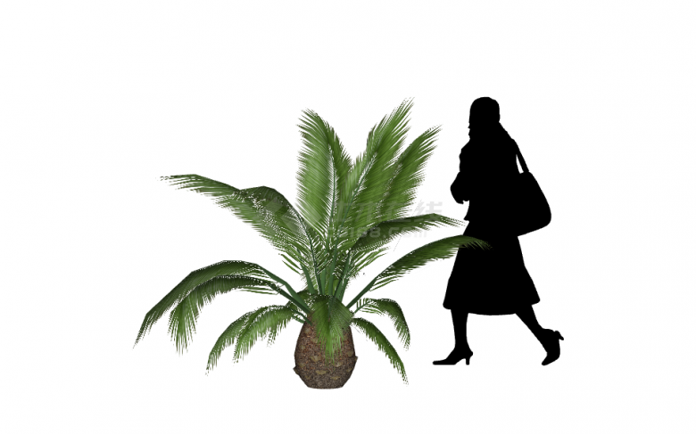 带有热带植物跟一位女士的图像su模型-图二