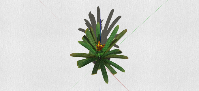 石蒜科君子兰室内植物su模型_图1