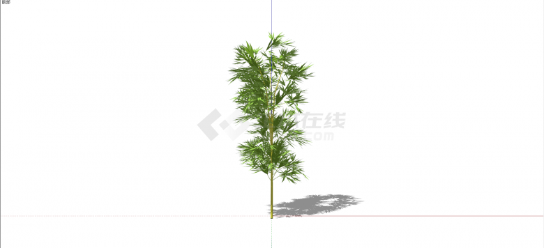 禾本科江南竹植物su模型-图一