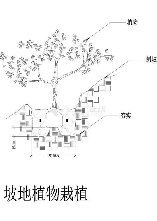 坡地植物栽植剖面设计CAD参考图-图二