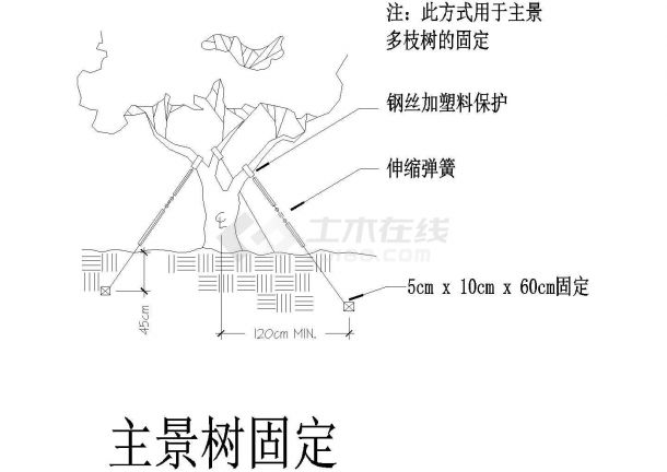 某学校主景树固定详图-图二