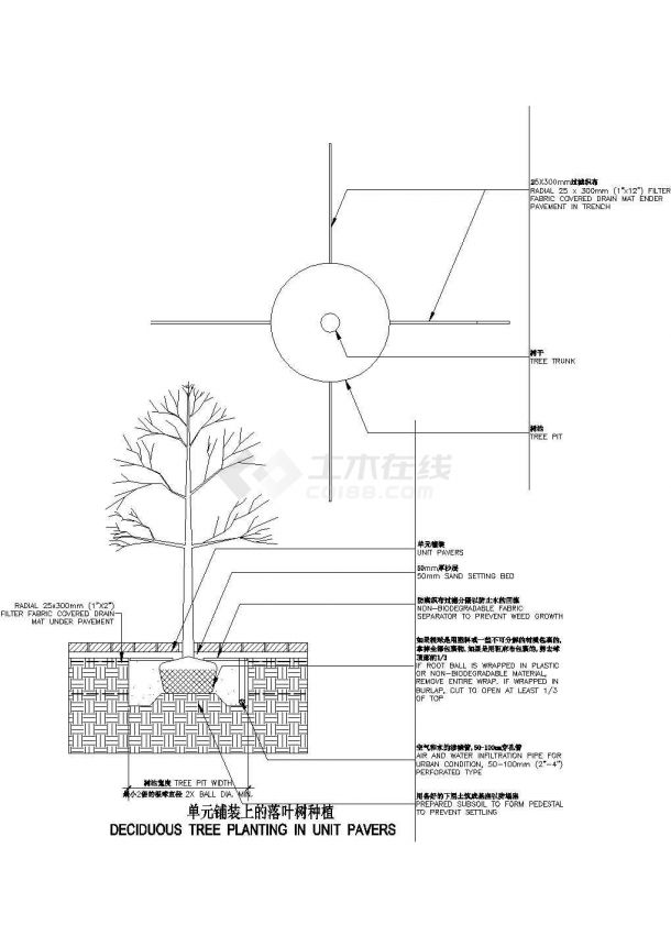 某地区的精致单元铺装上的落叶树种植详情布置平面图-图一