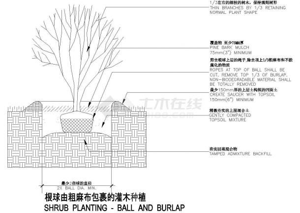 一城市灌木种植结构大样详图-图二