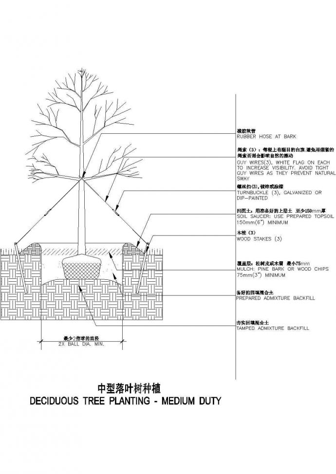 某地大棵落叶树种植规划详图_图1