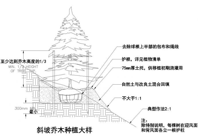 某地区的斜坡乔木种植设计图_图1
