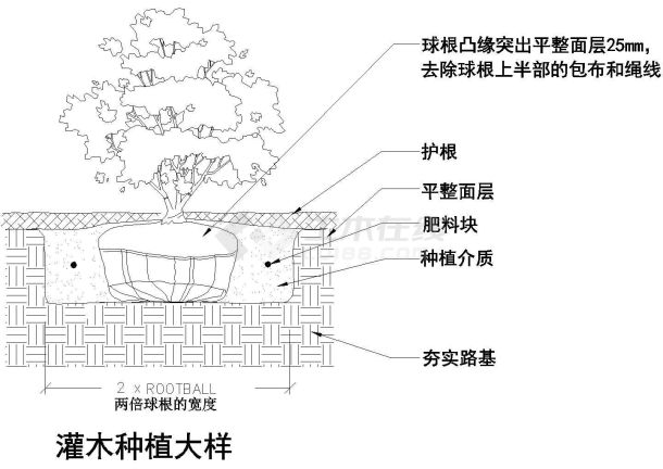 某花园灌木种植大样图-图二