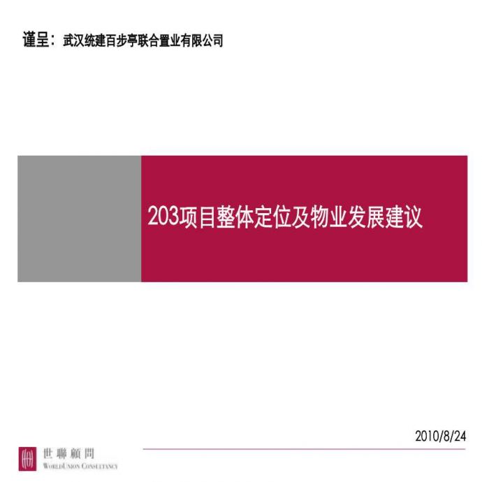 武汉203项目整体定位及物业发展建议方案设计_图1