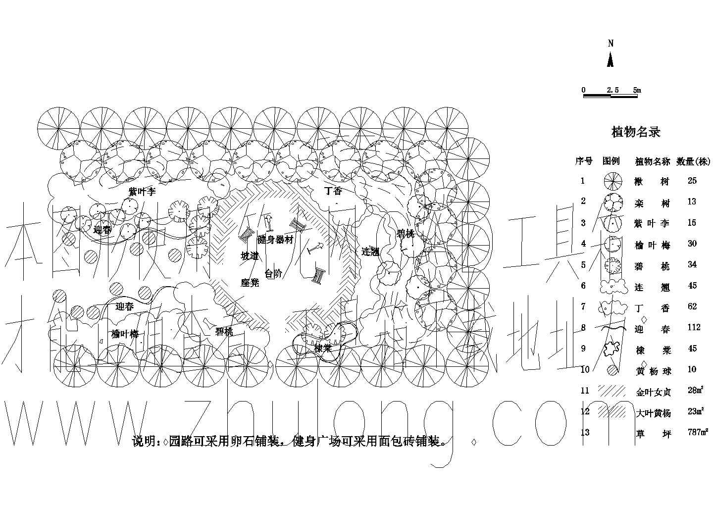 某小公园园林规划设计平面