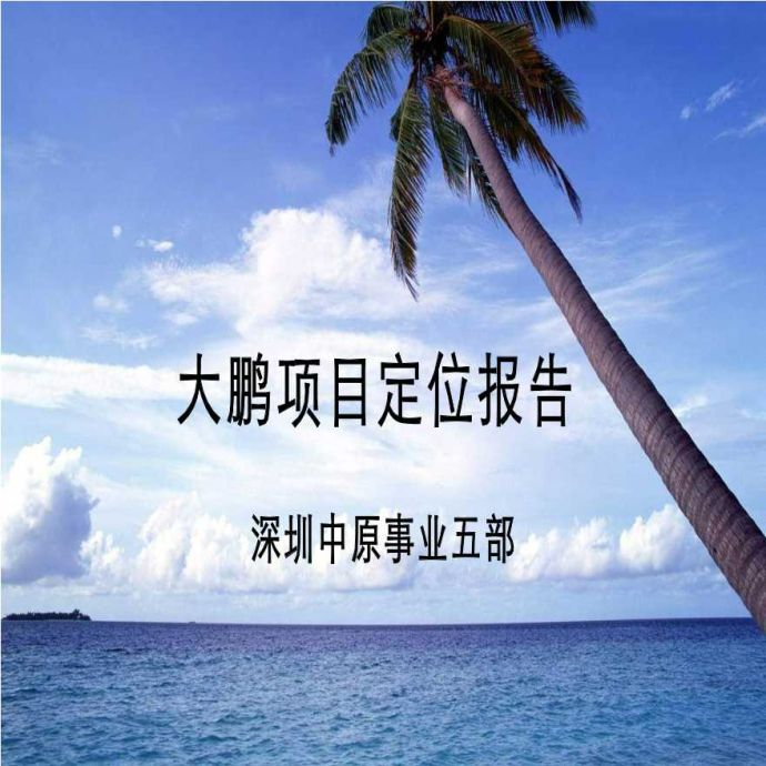 中原深圳大鹏滨海旅游度假项目定位报告_图1