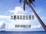 中原深圳大鹏滨海旅游度假项目定位报告图片1