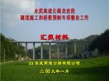 永武高速公路某段隧道施工和桥梁预制专项整治工作汇报材料图片1