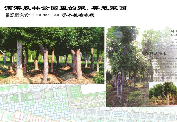 [江苏镇江]住宅区绿地景观概念设计方案图-图一
