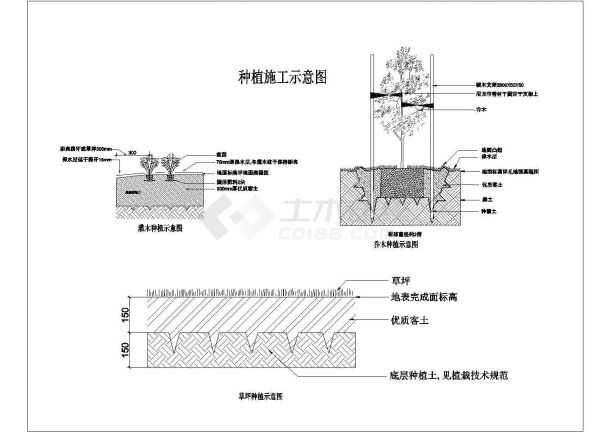 某种植施工CAD完整详细设计示意图-图一