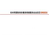 中规院：杭州湾国际商务健身高端服务业业态区战略规划图片1