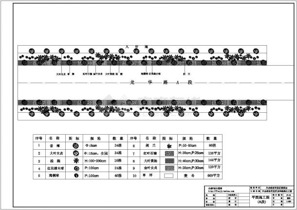 南京某开发区道路绿化工程设计cad全套施工图纸（含设计说明）-图二