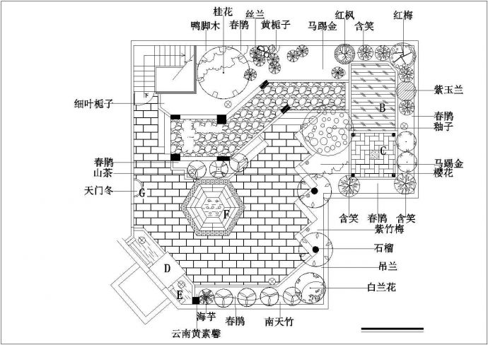 衡阳市某高层商业大厦屋顶景观花园平面绿化设计CAD图纸_图1