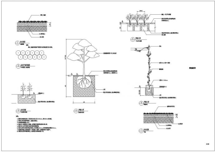 独善公园景观设计图纸--植物_图1