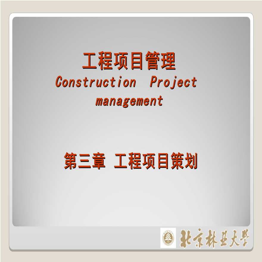工程项目管理-(3)项目策划-图一
