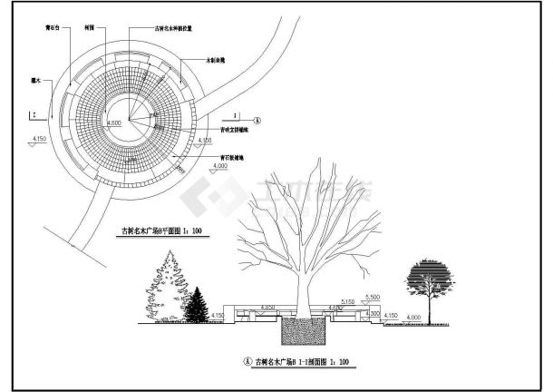公园广场绿化CAD图纸-小广场-图一