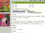 华北园林绿化植物电子书图片1