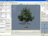三维场景树木建模软件(SpeedTree)V5.11 绿色版下载图片1