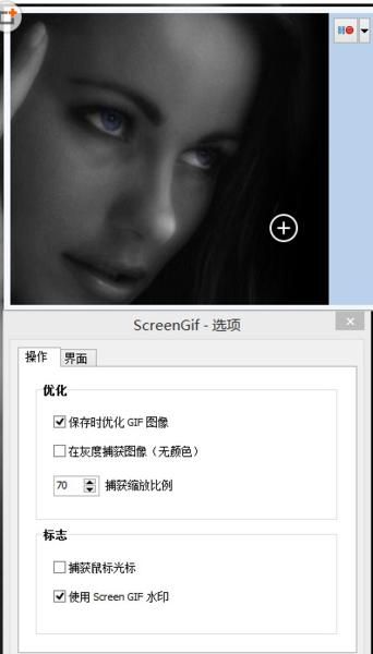 GIF动态图片录制软件(ScreenToGif 2.1)汉化版下载