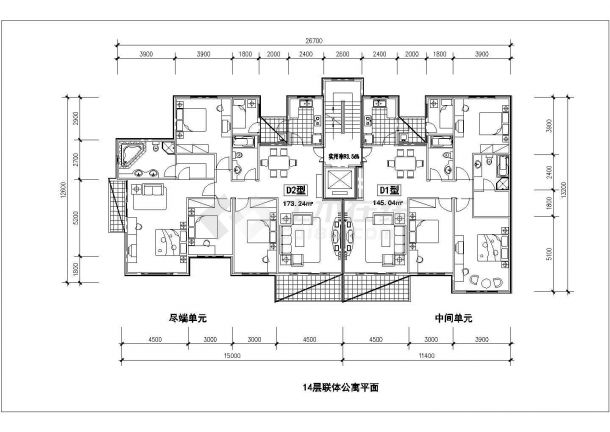 西安瑞景新城小区173+145平米户型设计CAD图纸（1梯2户）-图一