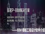 BIM模板工程设计软件的介绍图片1