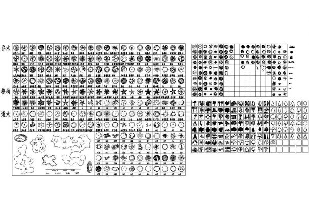 乔木 棕榈 灌木植物材质平立面图cad施工图设计-图二