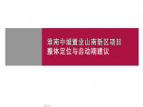 安徽淮南中城置业山南新区项目整体定位与启动期建议图片1