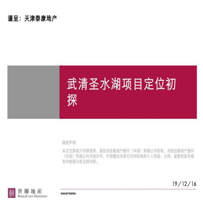 2007年天津市武清圣水湖项目定位报告_图1