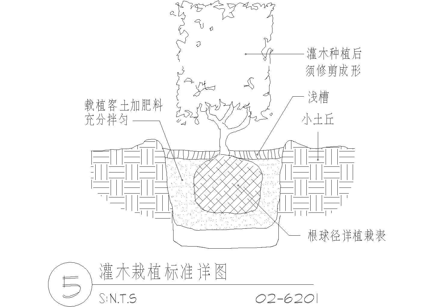 灌木栽植标准CAD平面布置参考图