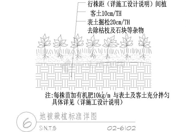 地被栽植标准CAD平面布置参考图-图二